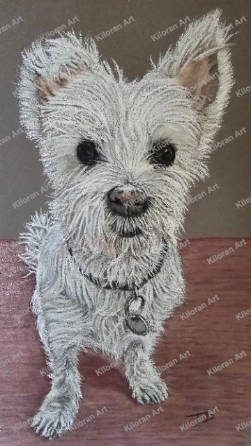 011_drawing_West_Highland_White_Terrier_watermark