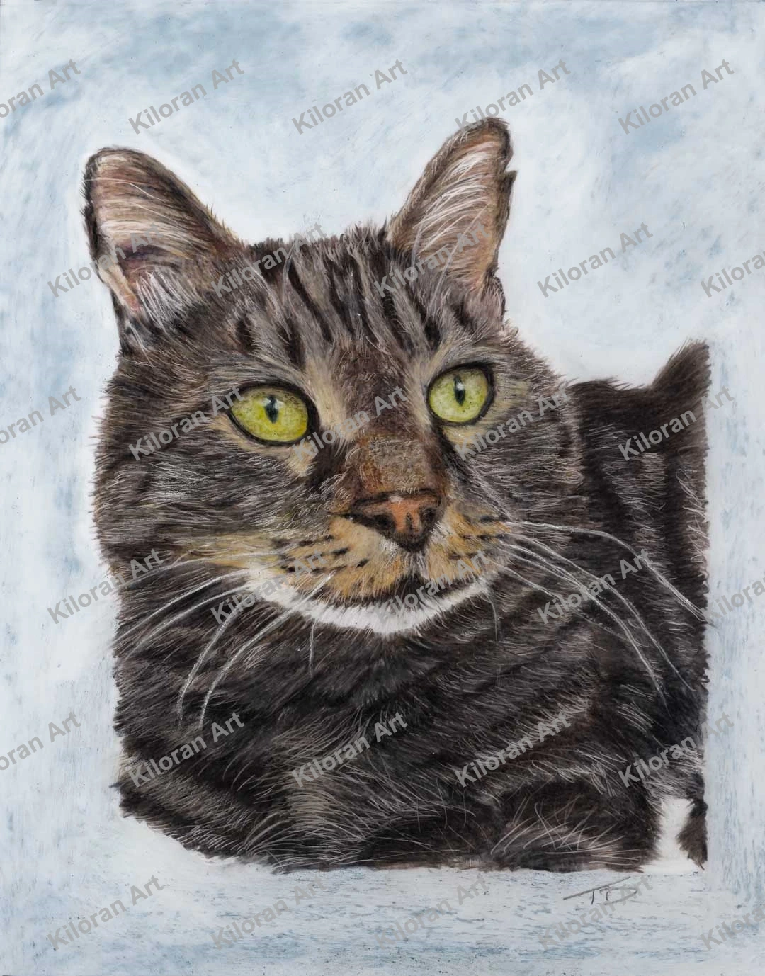 020_drawing_Tabby_Cat_watermark