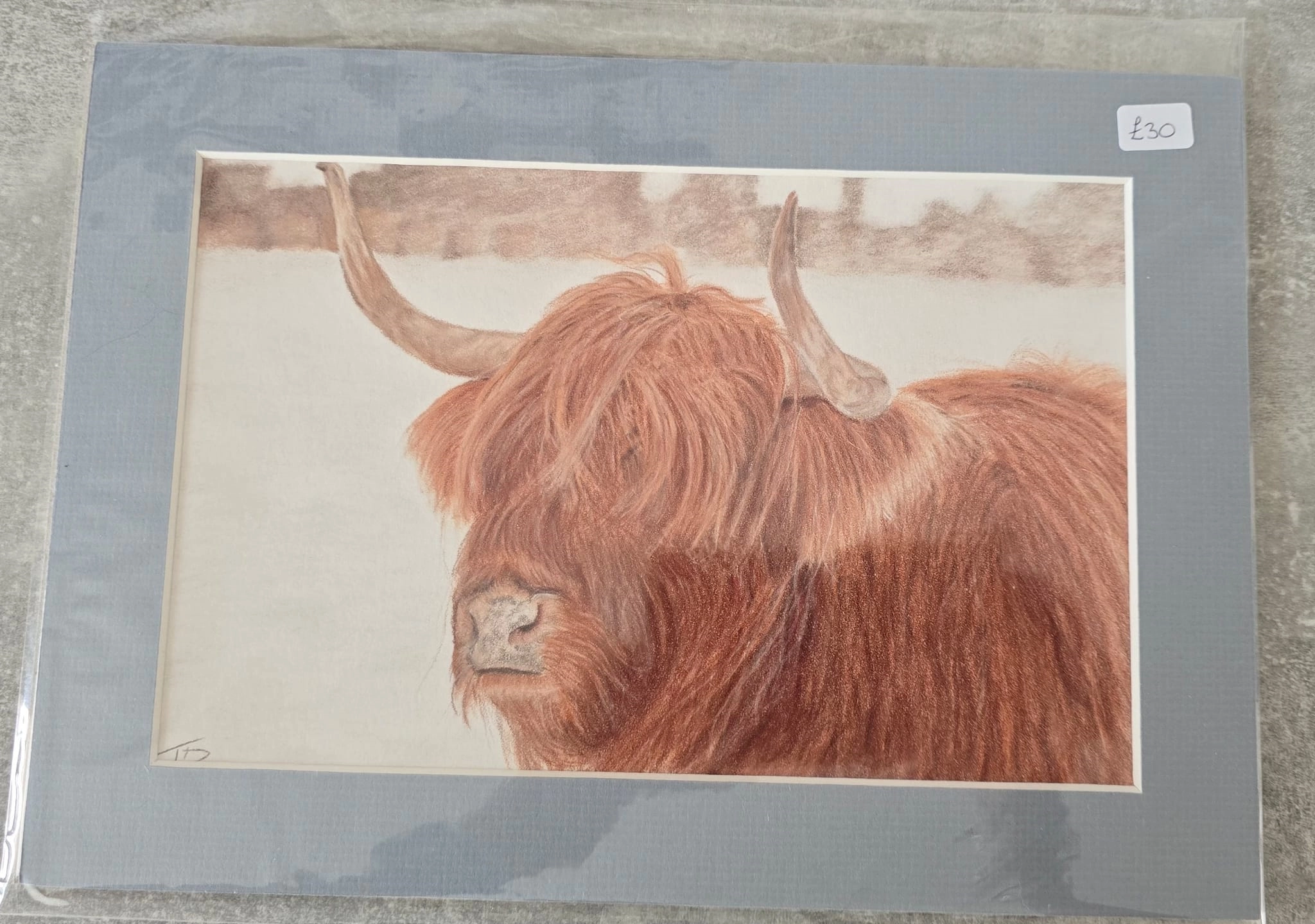 Print_mount_cow