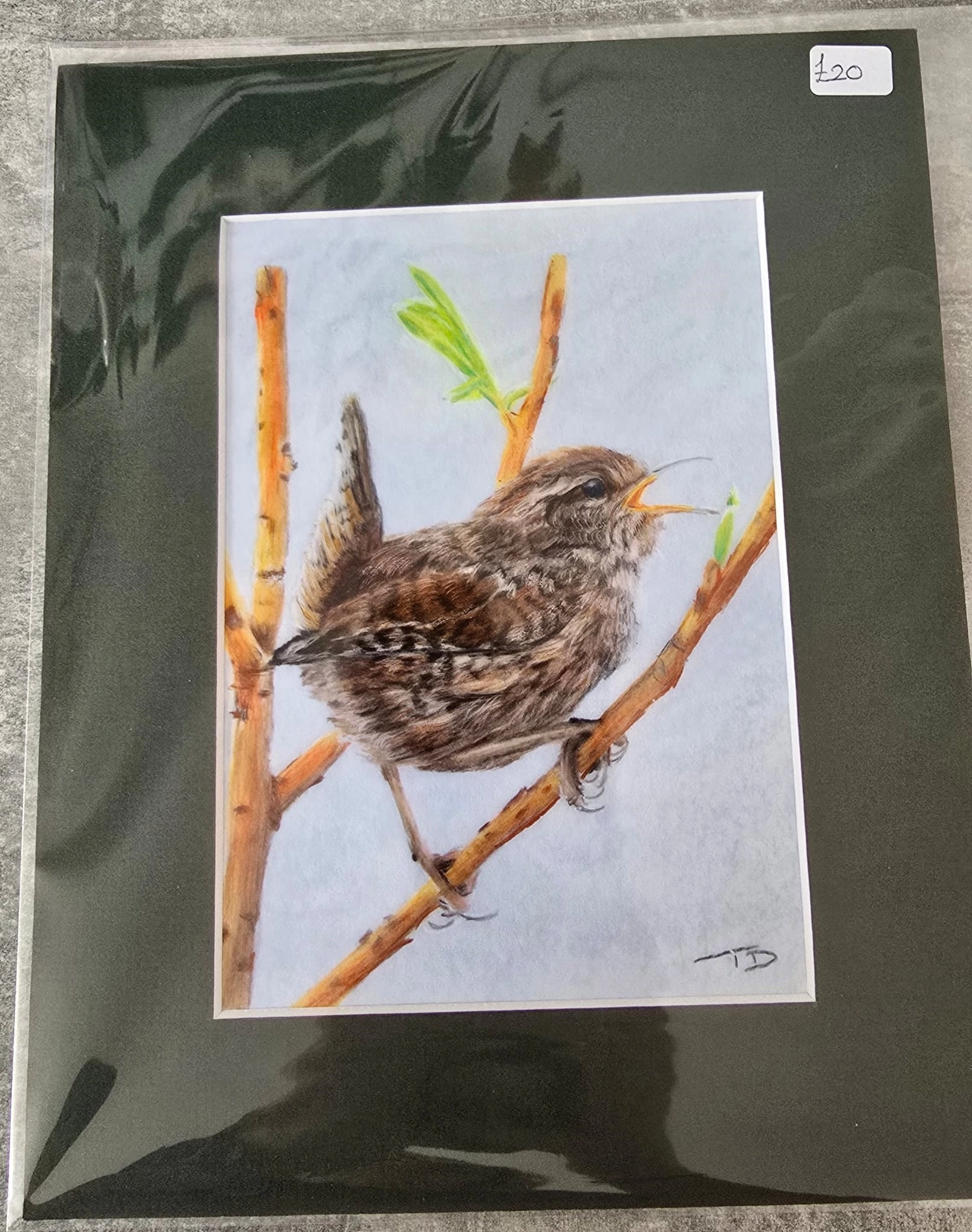 Print_mount_wren